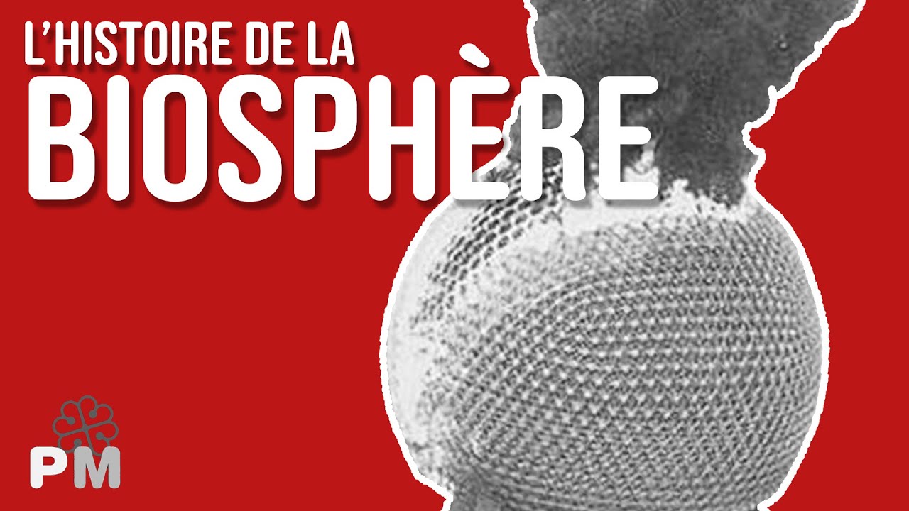 Histoire d'Archives: L'Histoire de la biosphère du parc Jean-Drapeau, de 1967 à aujourd'hui