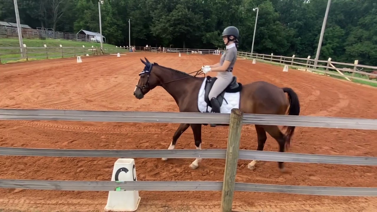 Working Equitation Level 1 Dressage