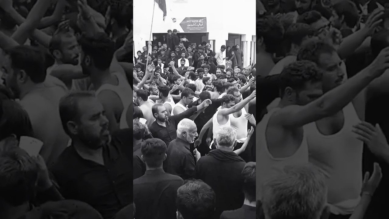 Markazi Jaloos Bullo Jhang #youtube #religion #majalis #fishcatching #majalis2023 #fishingfanatics