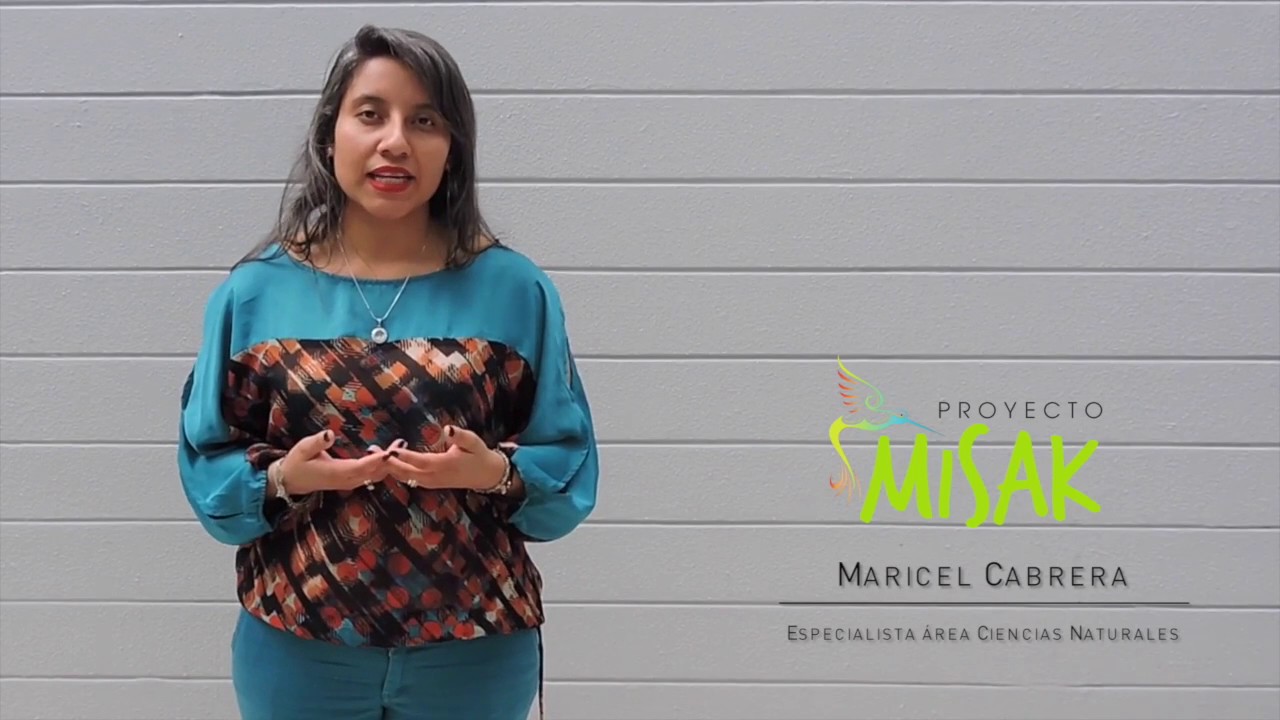 &Aacute;rea Ciencias Naturales - &iquest;C&oacute;mo dise&ntilde;ar planes de estudio y de aula en el &aacute;rea?