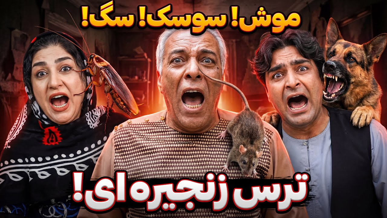 زن از سوسک جیغ، داماد از سگ فرار، پدر از موش وحشت! 😂