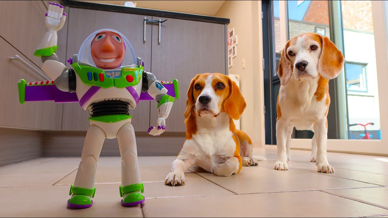 Dogs vs Toy Story Buzz Prank : Funny Dogs Louie & Marie