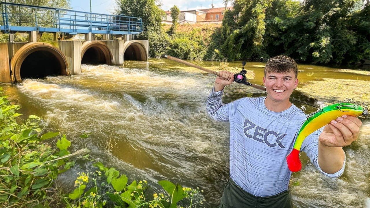245 CM Wels lauert hinter Kläranlage - ich fange ihn! Topwater Eskalation