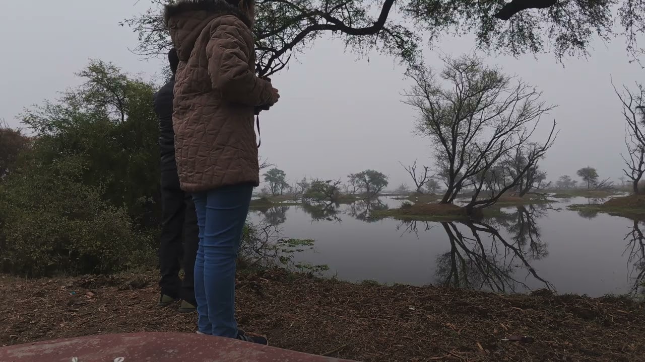 BHARATPUR BIRD SANCTUARY - PART 3