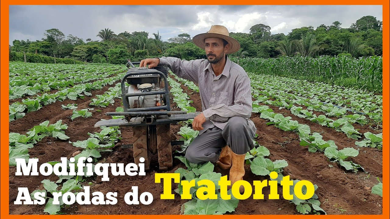 Modifiquei as rodas do tratorito motocultivador//Segunda capina do repolho .