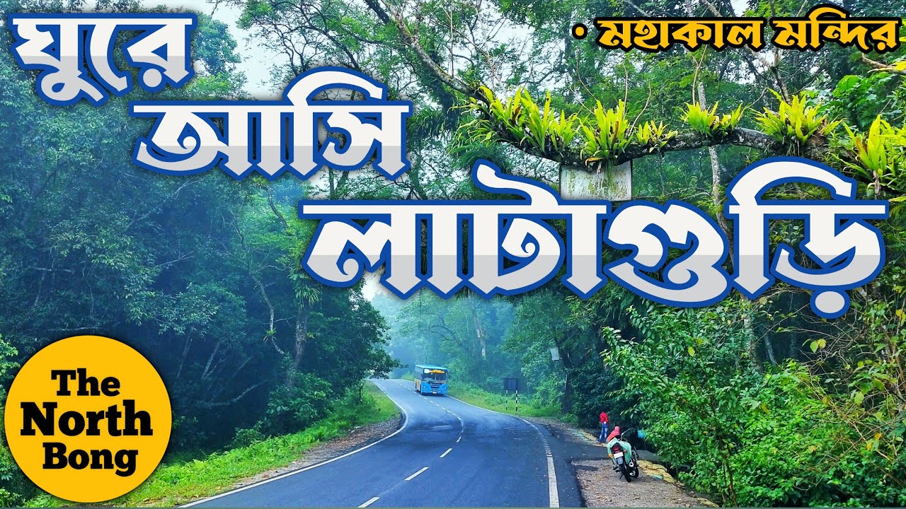 Lataguri || Lataguri Forest ||Gorumara National Park ||Dooars