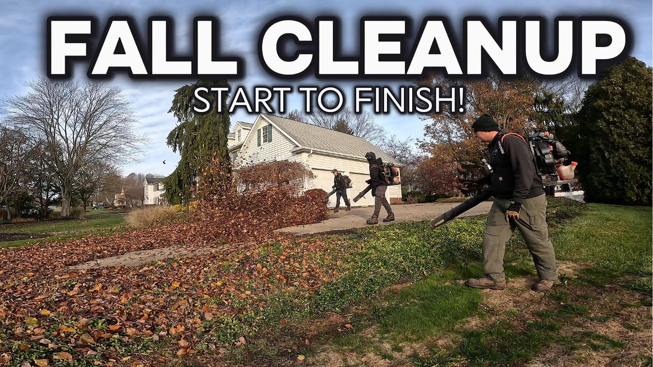 Watch This Yard Go From Messy To Amazing!