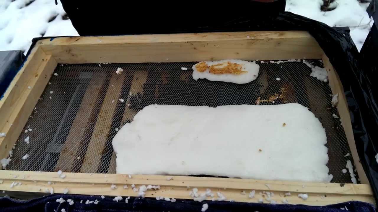 Hrănire albine prin plasă antivarroa