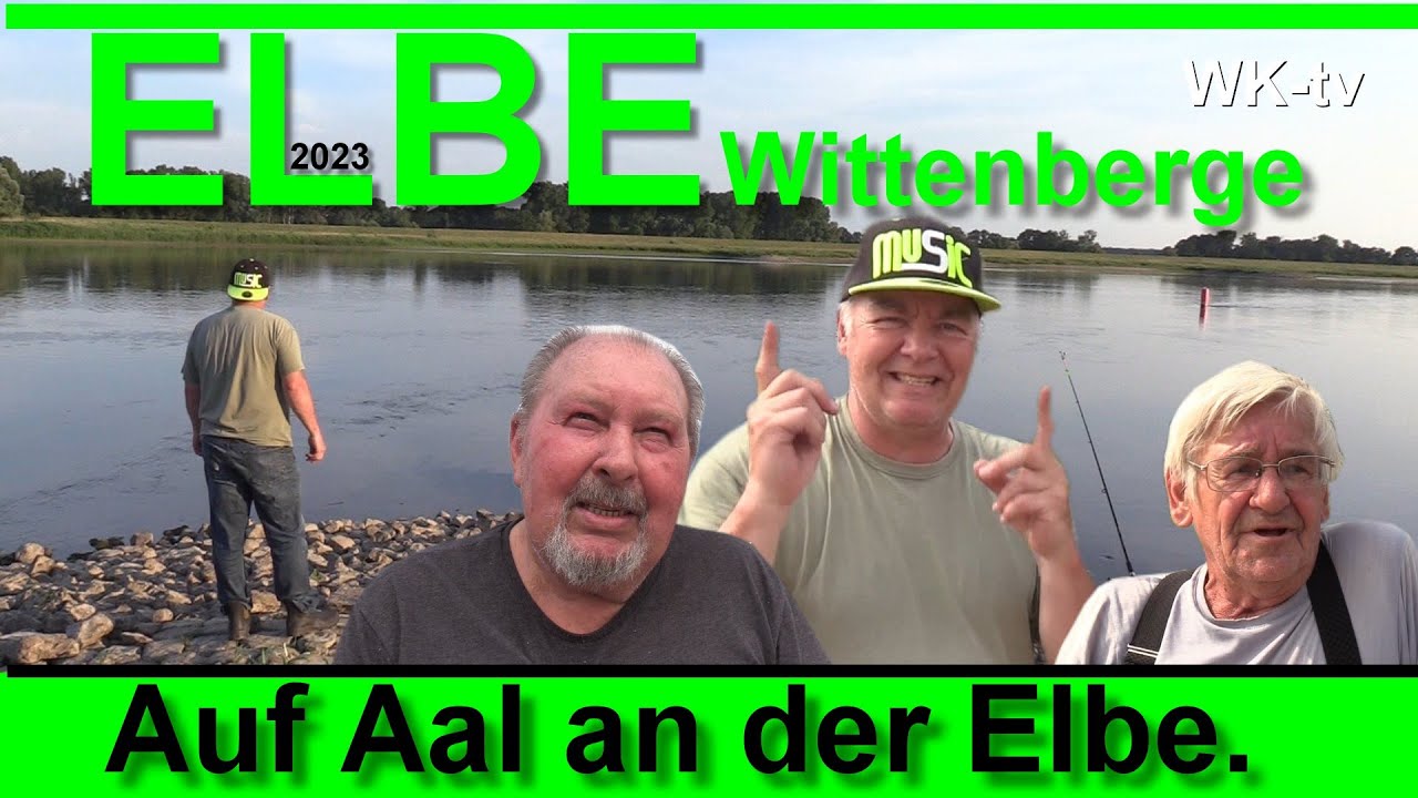 Auf AAL an der ELBE in Wittenberge mit Lothar, Klaus und Siggi - Angelvideos auf Wittstock TV 2023
