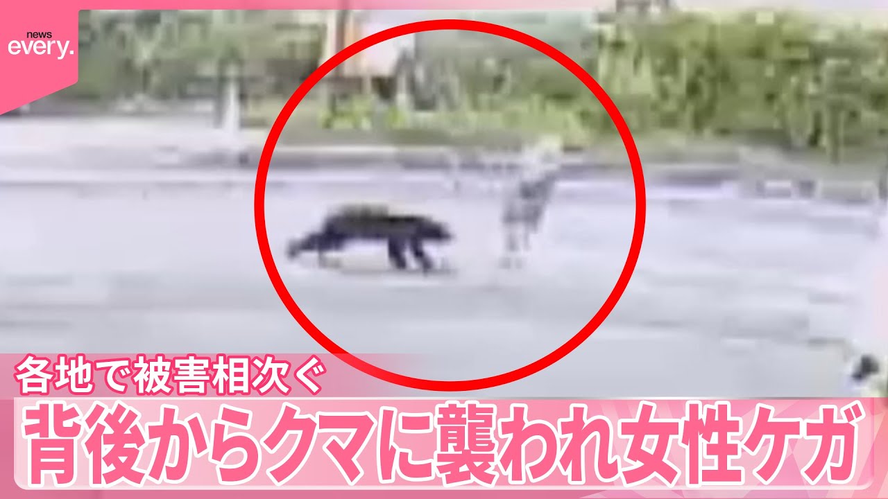 【クマ】背後から襲われ秋田の女性ケガ  岩手では襲われたとみられる遺体発見  各地で被害相次ぐ