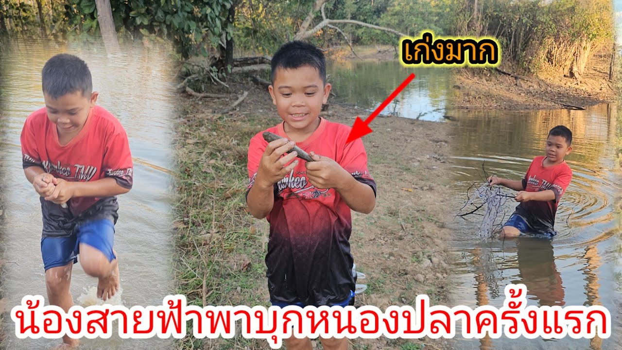 น้องสายฟ้าพาบุกหนองปลารอบค่ำครั้งแรกจะหมานหรือไม่🐟🐟  29 มกราคม ค.ศ. 2026