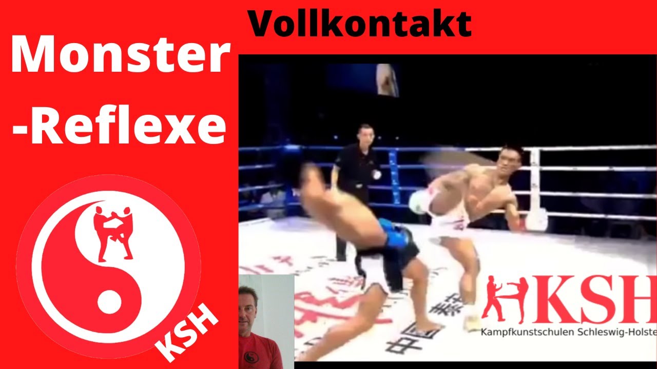 Monster-Reflex Vollkontakt, Lerdsila, Prince Hamed, Anderson (Spider) Silva