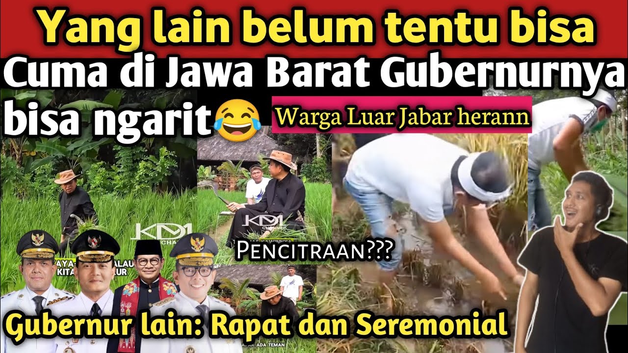 Serba Bisa! Hahaa Warga Luar Jabar heran, cuma di Jawa Barat Gubernurnya bisa ngarit, masuk sawah
