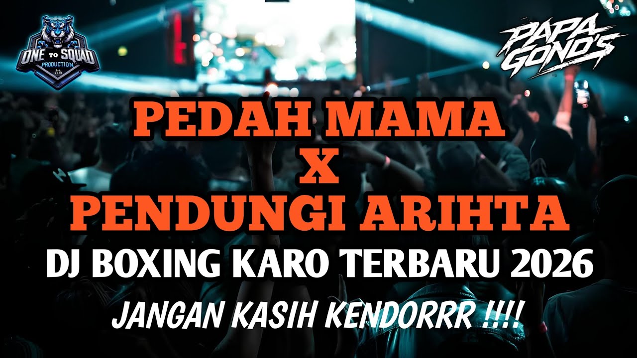 DJ BOXING KARO TERBARU 2026 