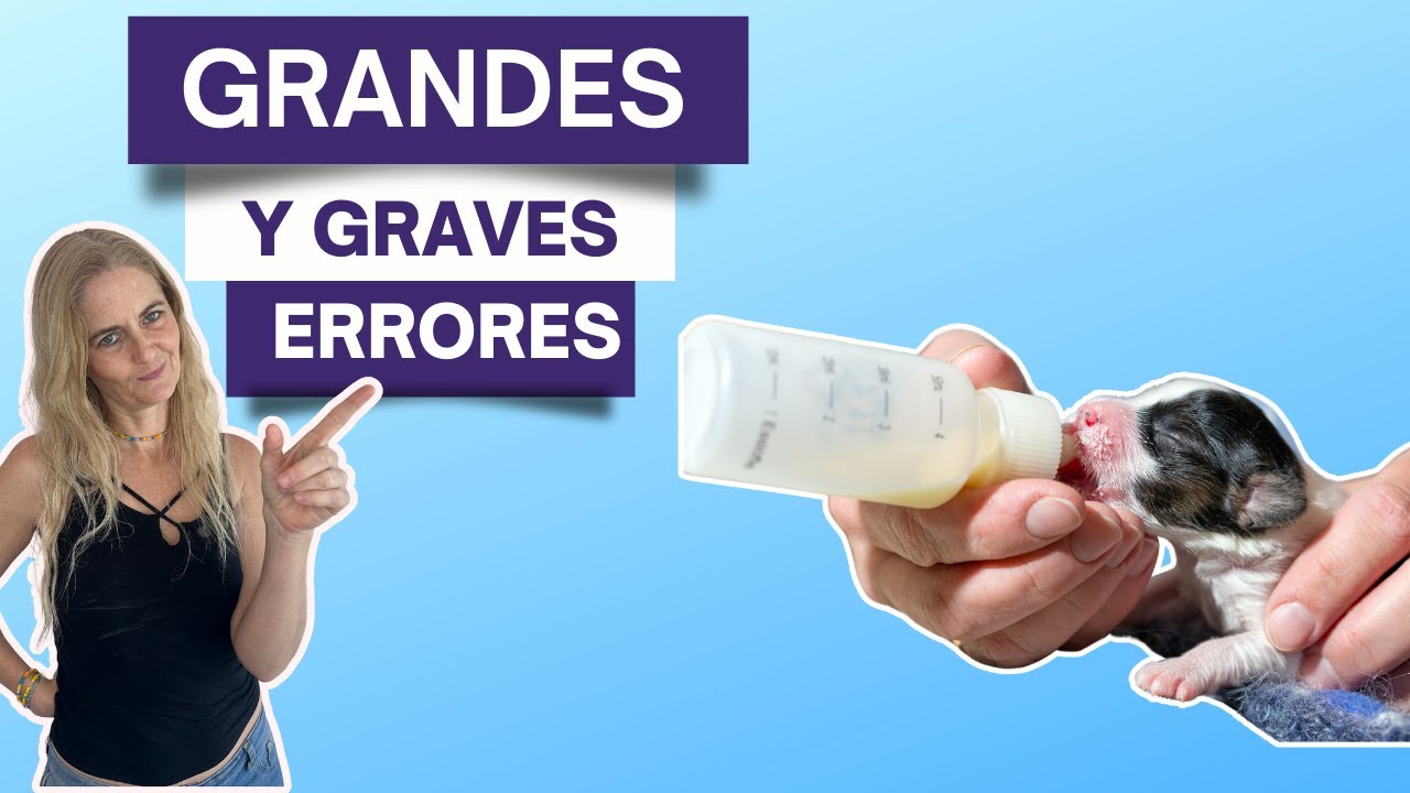 ¡¡¡No hagas esto!!! Leche Casera para Gatitos y Perritos