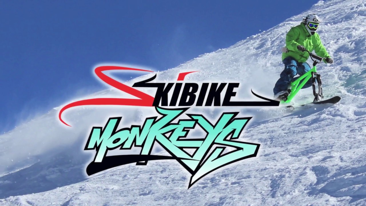 SKIBIKING with friends Vol.2 / 2016 / 2017