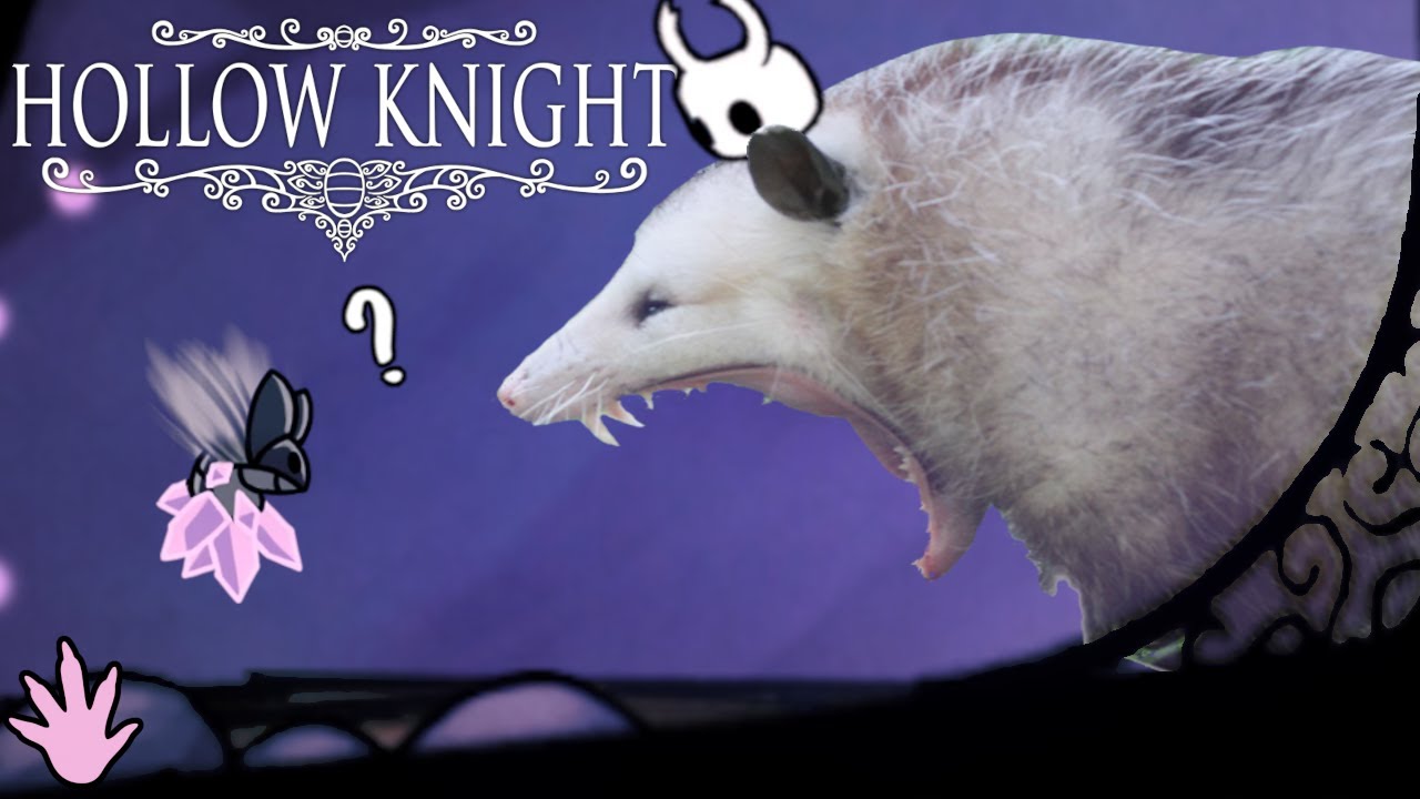 Wait... Where Do I Go Again? | Hollow Knight (Crystal Peak)