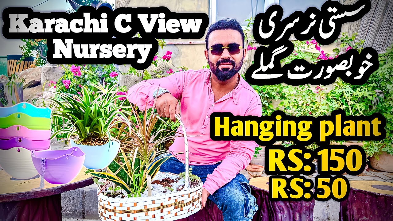 Nursery Karachi plants 🪴 karachi C view Nursery Yahan miltay hain SASTAY aur PYARE plants! #flowers 