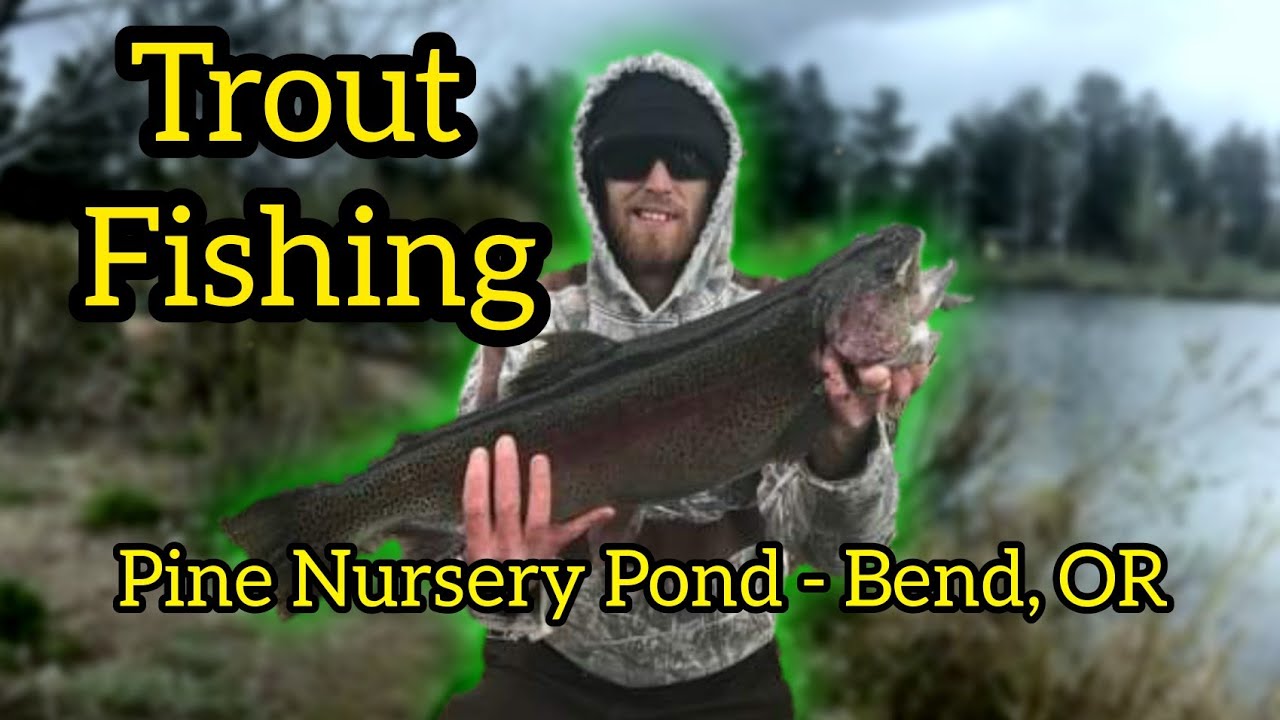 BIG Trout, Little Pond - Pine Nursery Pond, Bend Oregon