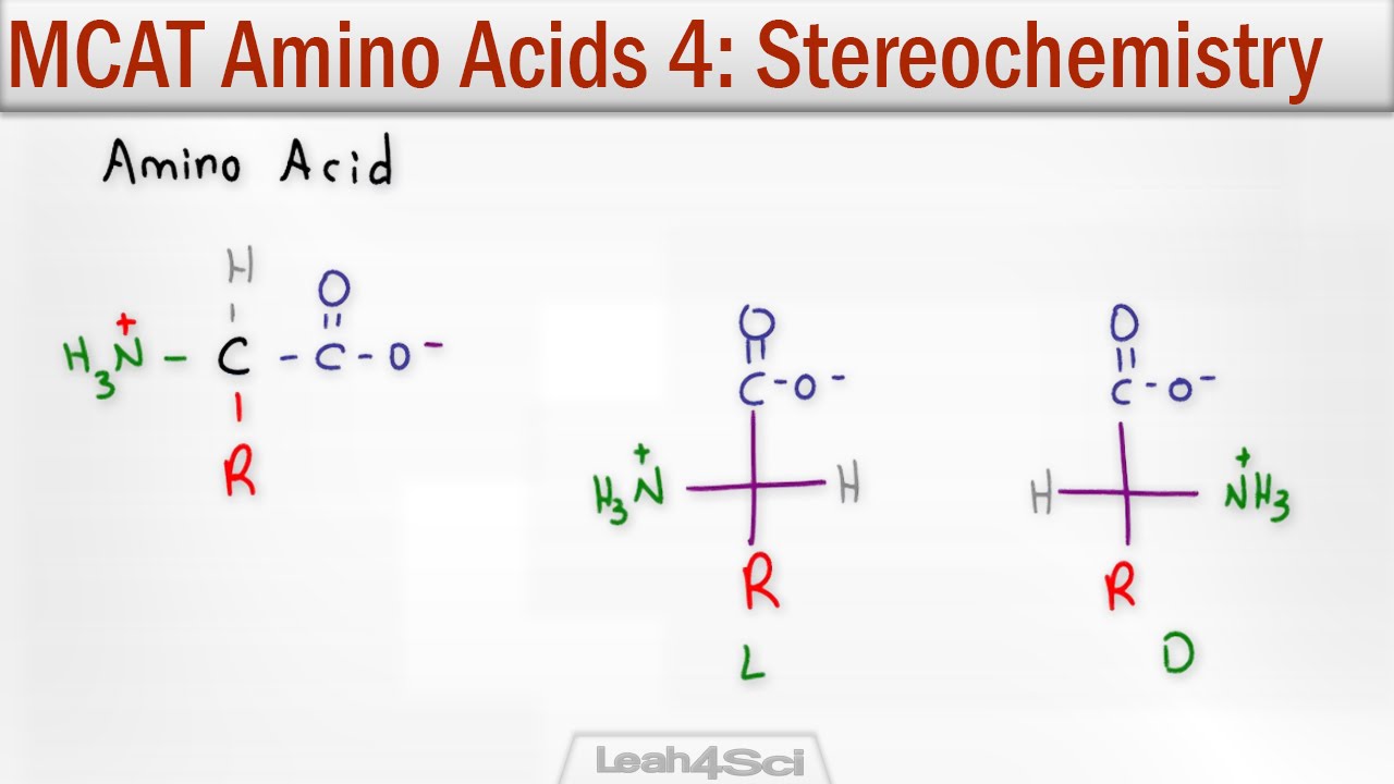 Amino Acid Stereochemistry R and S vs D and L Configuration