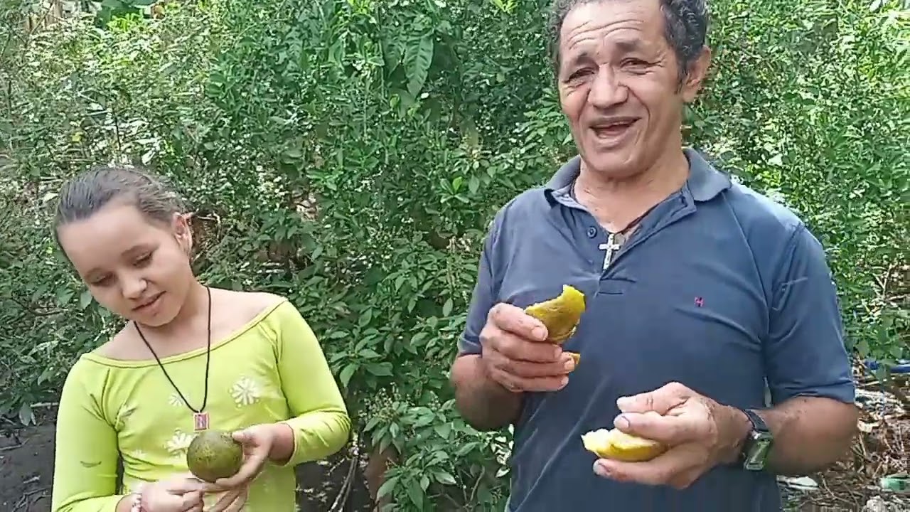 CONHEÇA A LARANJA DA TERRA QUE SERVE DE REMÉDIO CASEIRO 🍵🍊