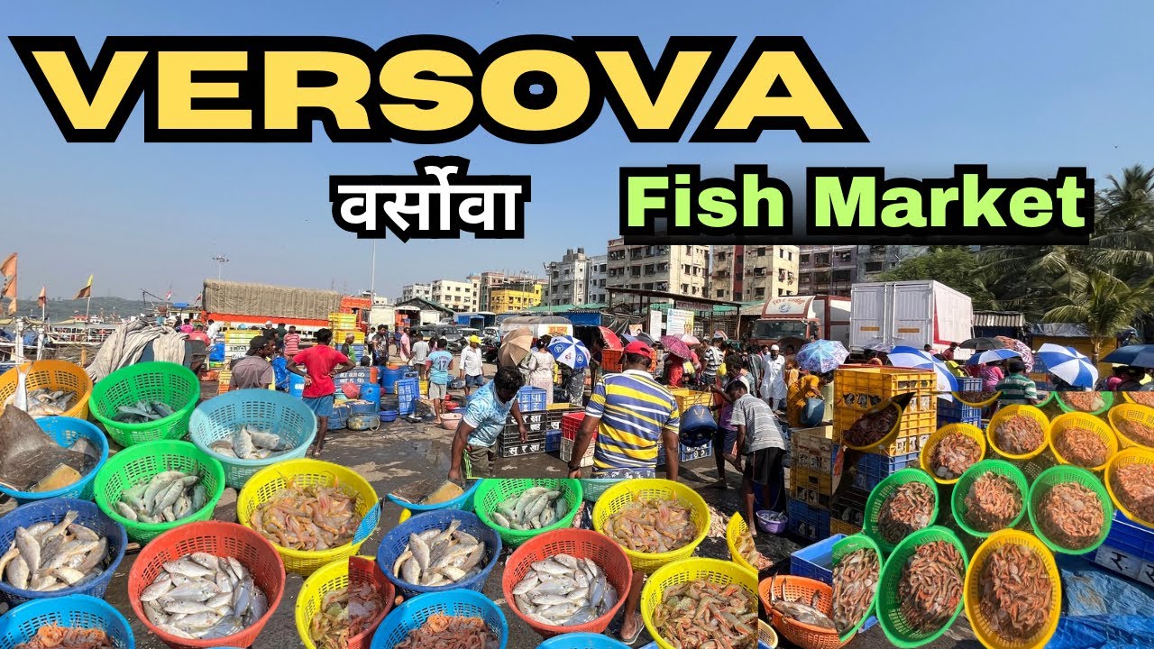 Versova fish market 🐟 | verosva wholesale fish market | वर्सोवा मच्छी बाजार | वर्सोवा कोळीवाडा ❤️🐠