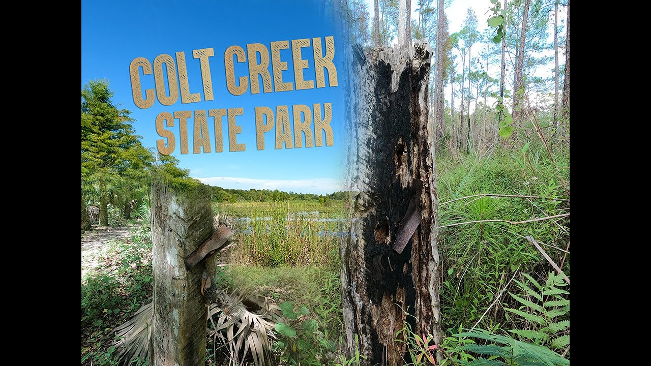 Colt Creek State Park and Turpentine History