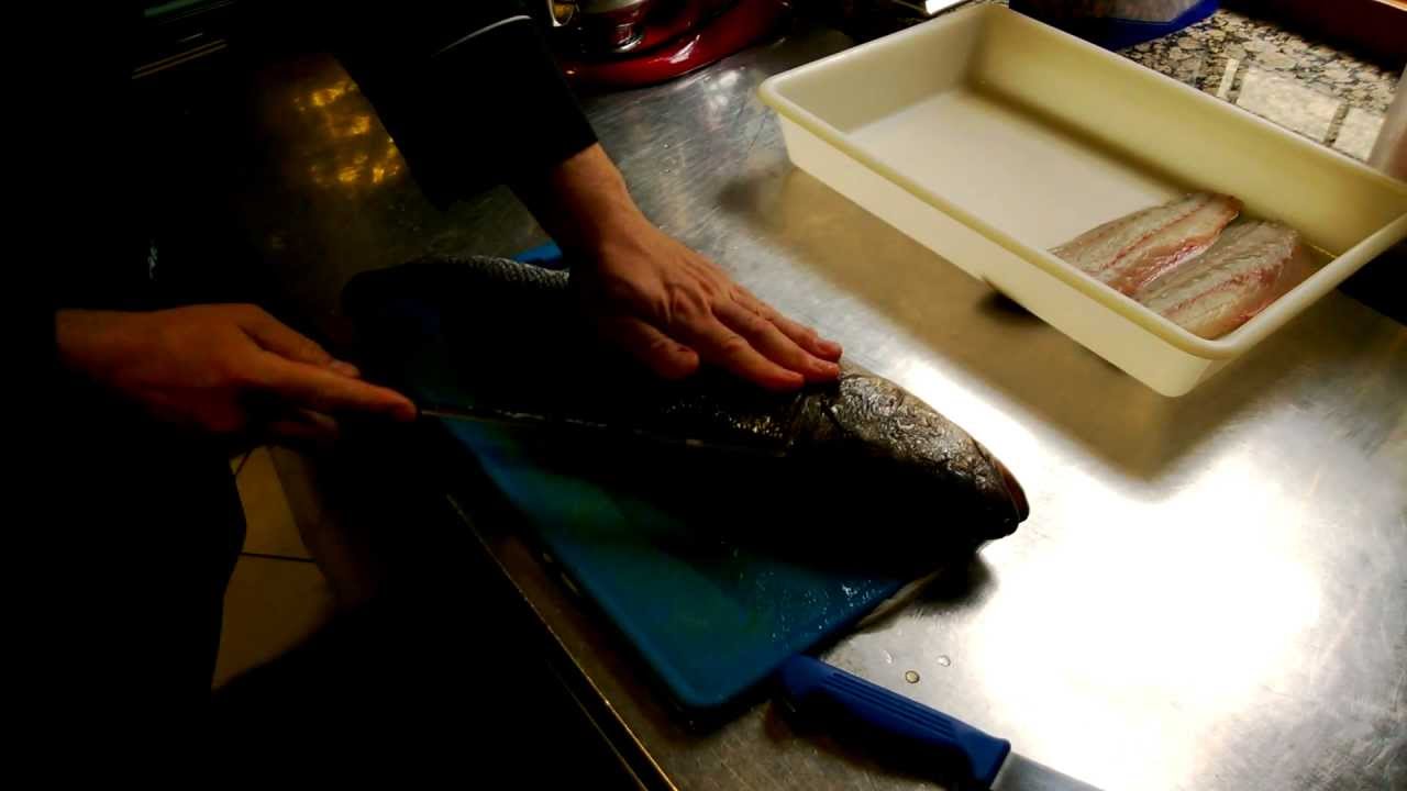 Sfilettare l'ombrina all'enoteca Leone