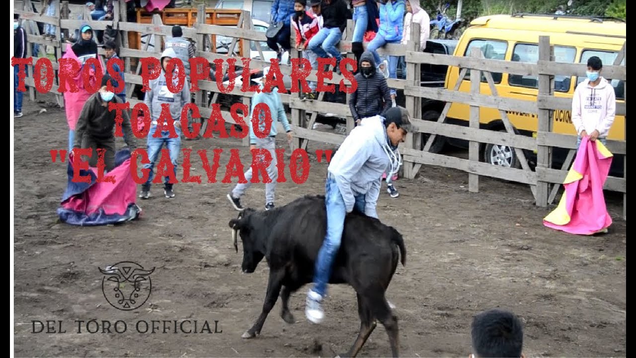 TOROS POPULARES TOACASO 2021 | Del Toro ft.