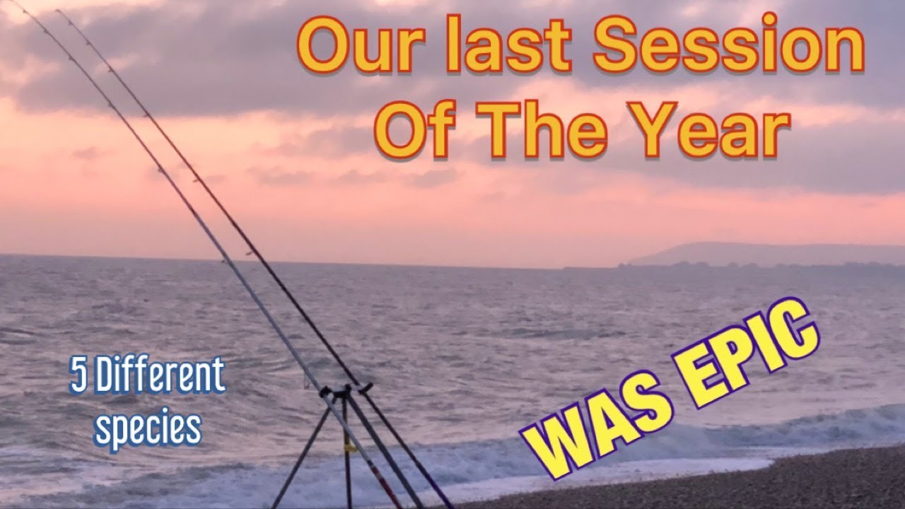 WINTER BEACH FISHING Normans Bay UK multiple species
