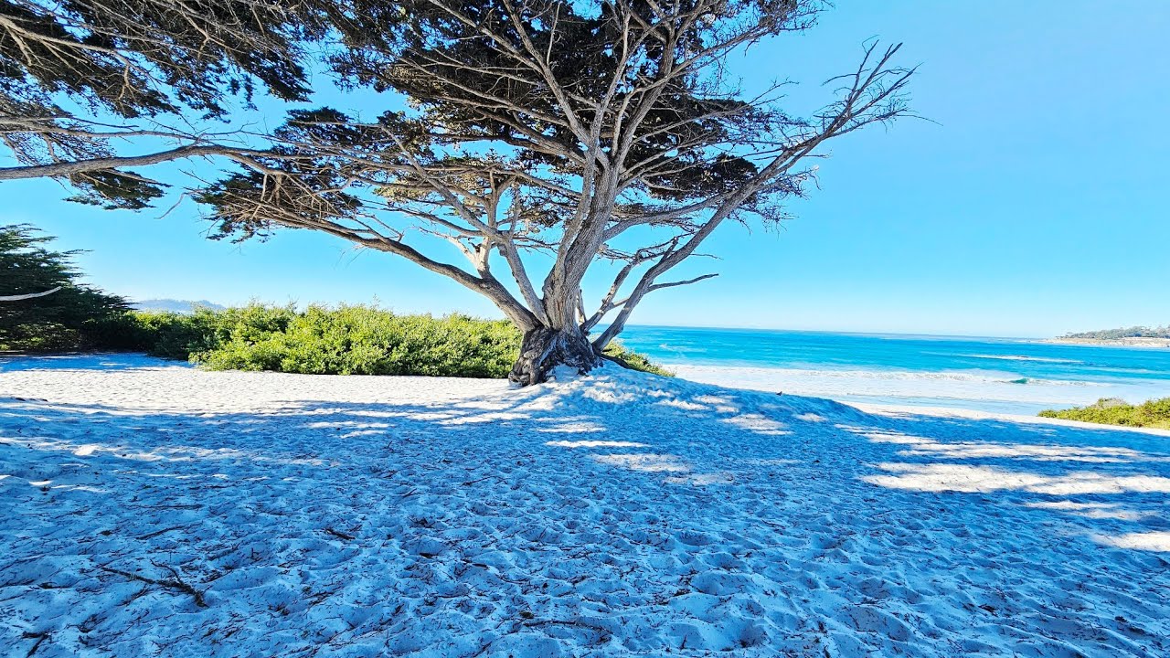 Carmel Beach in February 