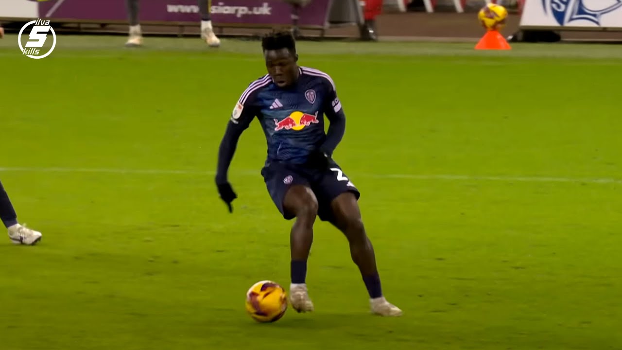 Wilfried Gnonto - Complete Season in 2025!