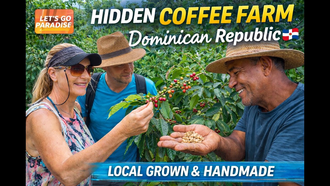 A Hidden Coffee Farm in the Dominican Republic 🇩🇴 | Las Terrenas Day Trip