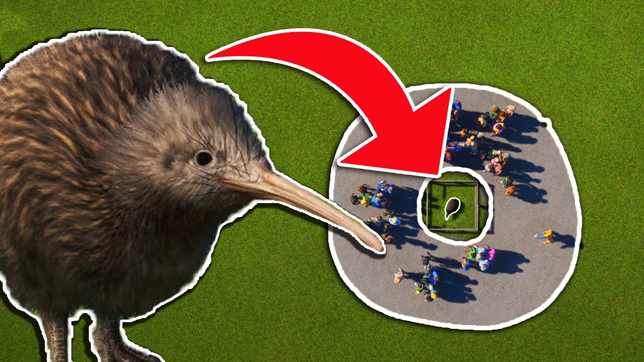 Building the Tiniest Zoo EVER (Please Don’t Call PETA)