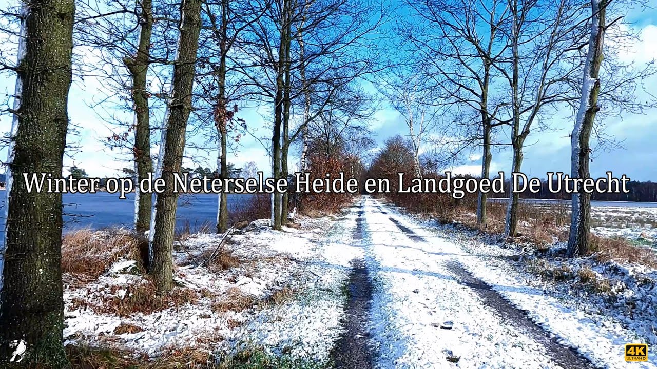 Winter op de Neterselde Heide en Landgoed De Utrecht