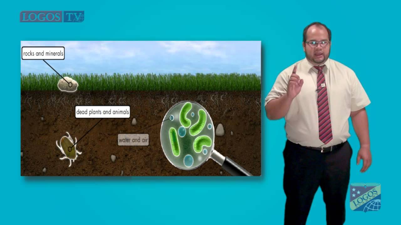 Soil composition
