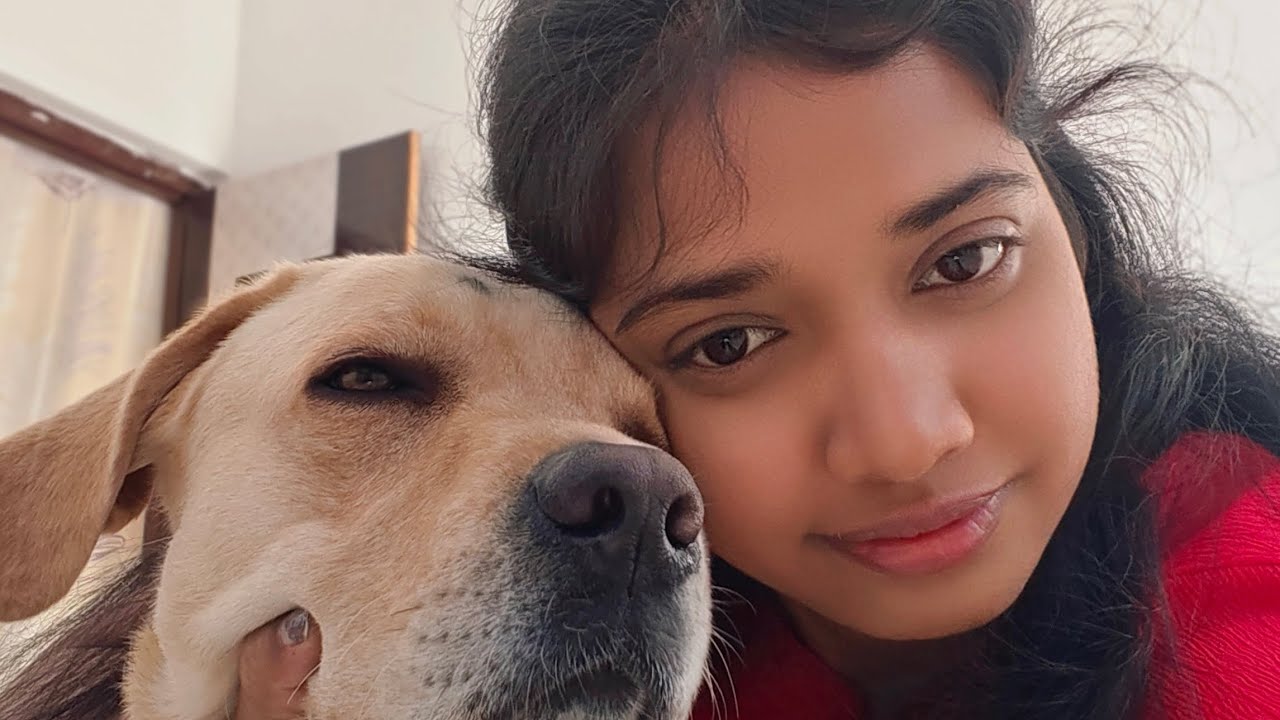 Joy ka badmashi dekho 😲🐶 || @Journeyoffjoy 