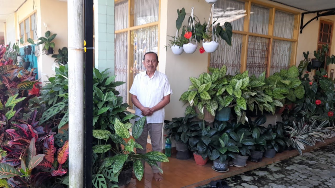 SOWAN Pak Maryono... BANYAK TANAMAN MUMBYUK² TERTATA RAPI DI TERAS RUMAH 🏡 DIVEN ADAMHAWA LUAR BIASA