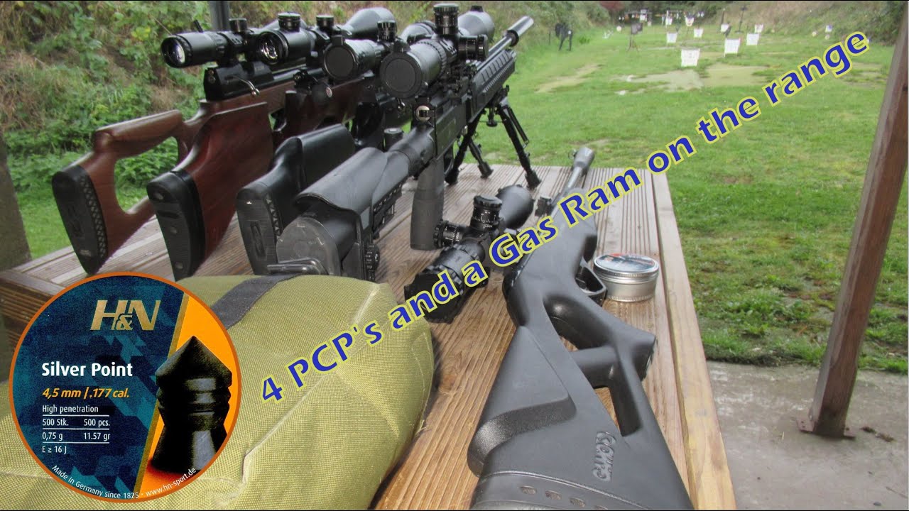 H&N Silver Point  .177 - 4 PCPs and a Gas Ram on the range