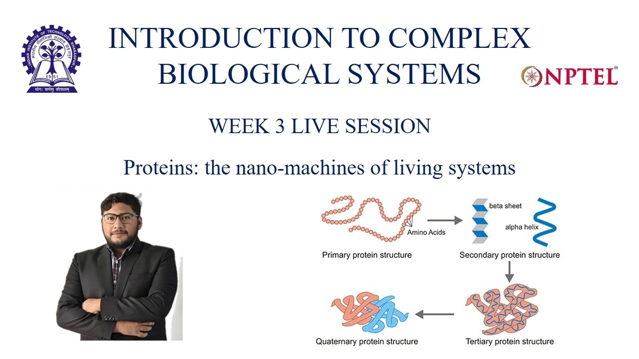 Proteins: the nano-machines of living systems