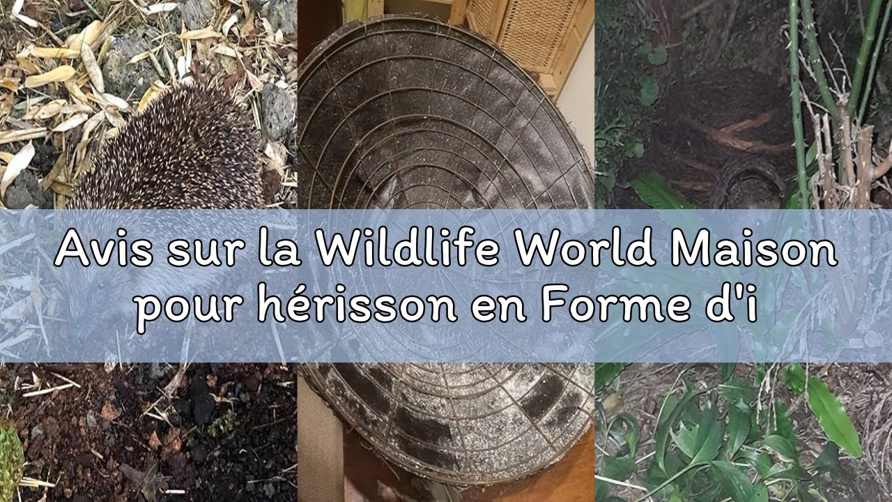 Avis sur la Wildlife World Maison pour hérisson en Forme d'igloo