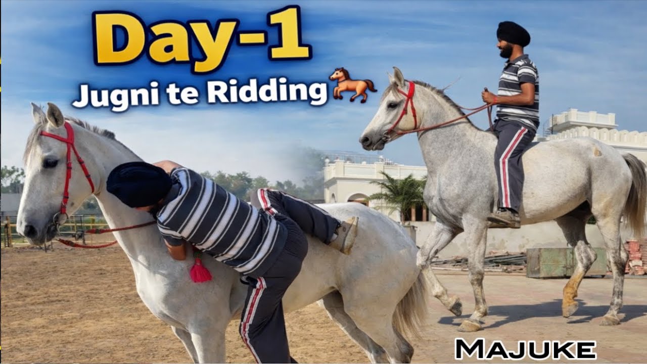JUGNI di riding karti start🐎//Majuke ali chal⛳️￼