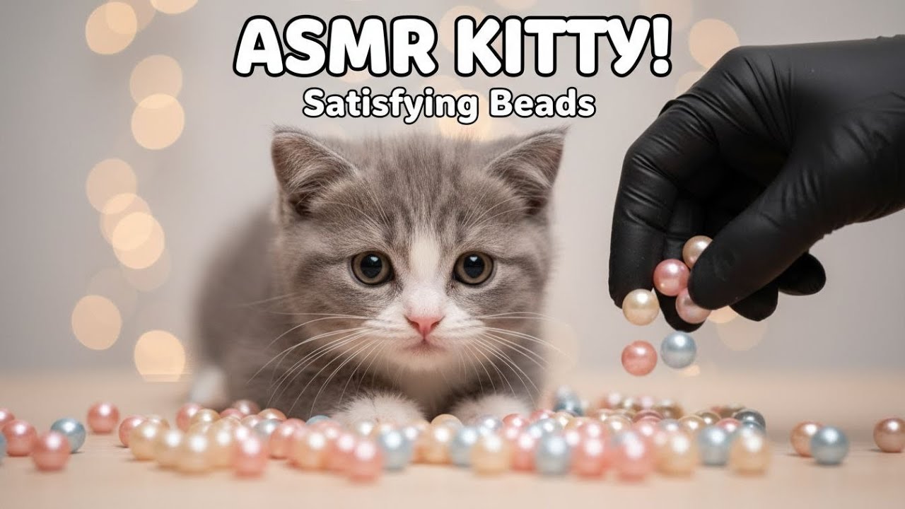 “Relaxing Beads ASMR with Cute Cat | Soft Sounds for Sleep & Calm (No Talking)”