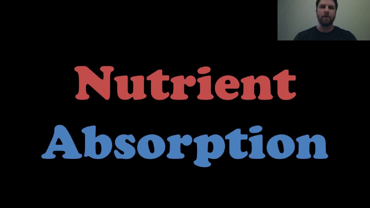 Nutrient Absorption
