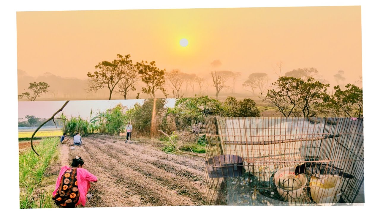 Mymensingh Village Vlog | Rural Life Bangladesh | Episode 03.