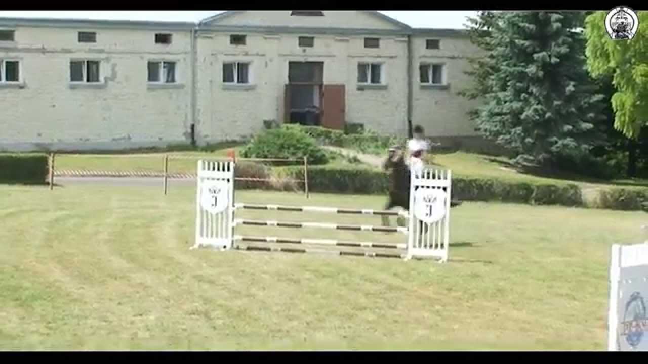 Stado Ogierów Białka 2015 - Konkurs kl. ”L” (100 cm) zwykły, otwarty - Runda Średnia