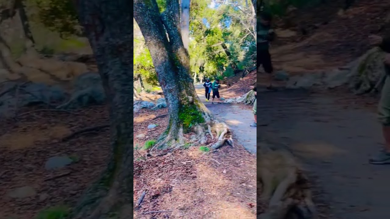 rugged paths, roaring falls, and untamed beauty. 