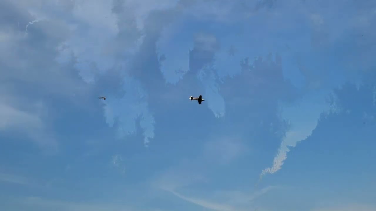 RC Sukhoi CARF-Models SU 31 DLE 130