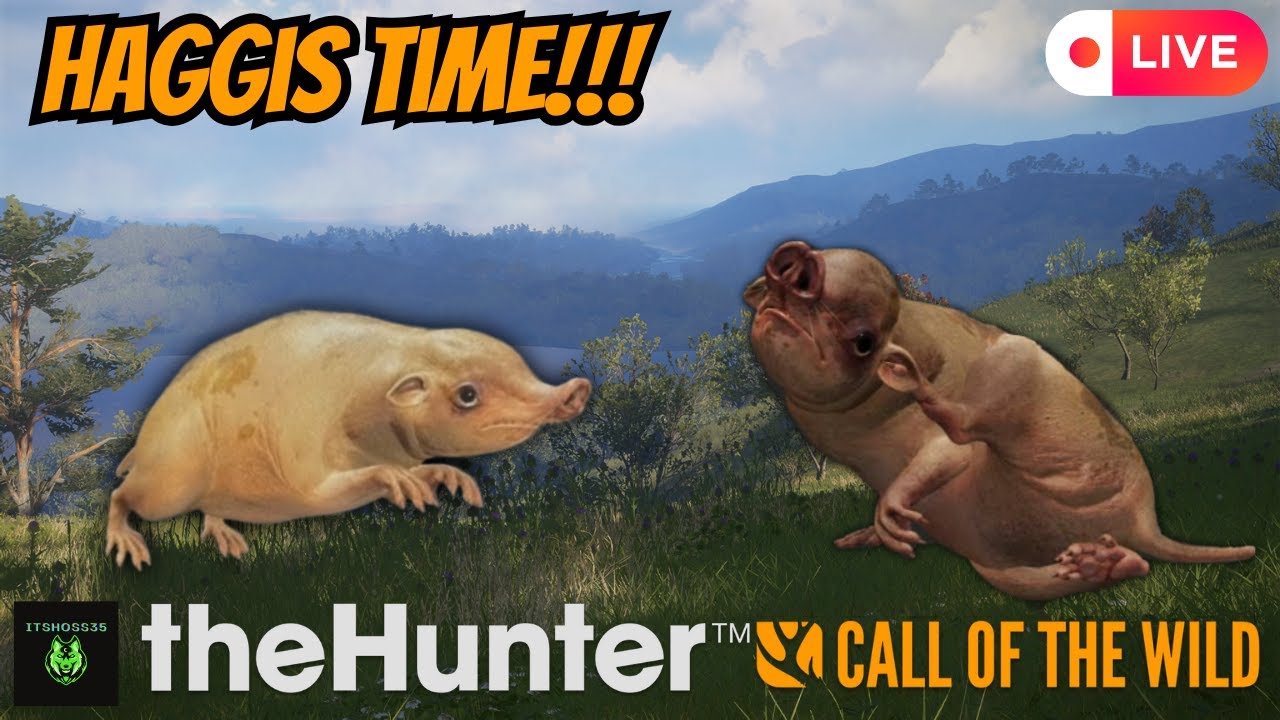 Late Night Stream!! Hunting for the Haggis!! | theHunter: Call of the Wild (Portrait)