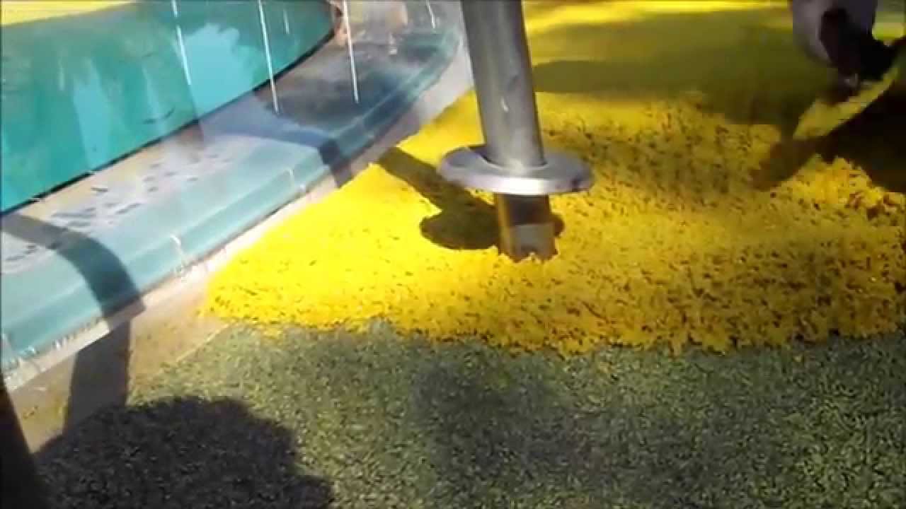 Pose d'un sol coul&eacute; en contour de piscine
